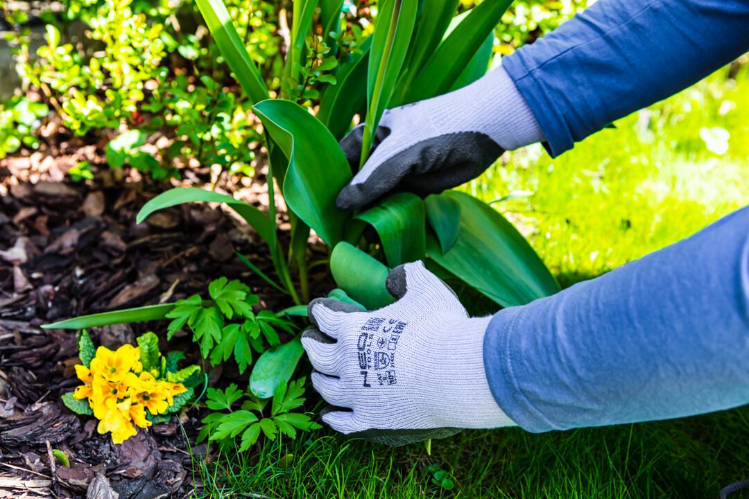 Рукавички робочі, бавовна і поліестер з латексним покриттям, 2143X, 8 " Рукавички робочі, бавовна і поліестер з латексним покриттям, 2143X, 8 "