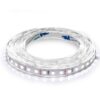 Світлодіодна стрічка BIOM Professional BPS-G3-12-5-2835-120-CW